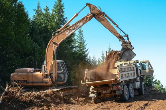 Cazino Golden Crown Cazinou Suport